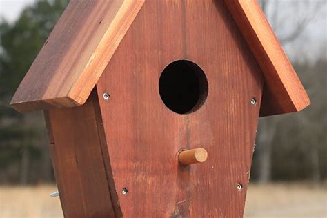 bird house metal perches|do birds need a perch.